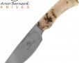 Нож Arno Bernard Warthog Sheep Horn