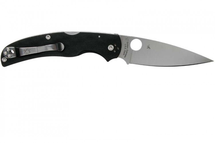 Нож Spyderco Native Chief 244GP