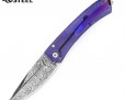 Нож Lion Steel TiSpine TS-1D Diamond