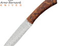 Нож Arno Bernard Buffalo Limited Damasteel