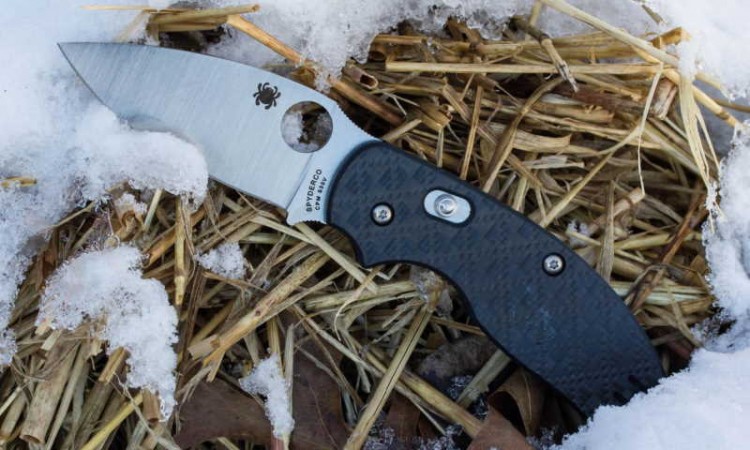 Нож Spyderco Sage 3 123CFBAP