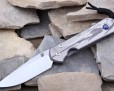 Нож Chris Reeve Large Sebenza 21 CGG Reverse Silver Contrast L21-1112B