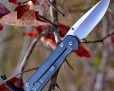 Нож Chris Reeve Large Sebenza 21 Cape Buffalo L21-1242