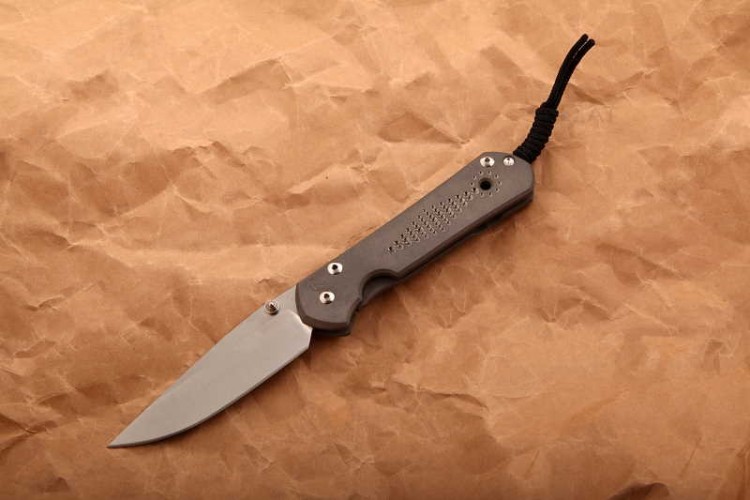 Нож Chris Reeve Large Sebenza 21 CGG Silver Contrast L21CGGSilverContrast